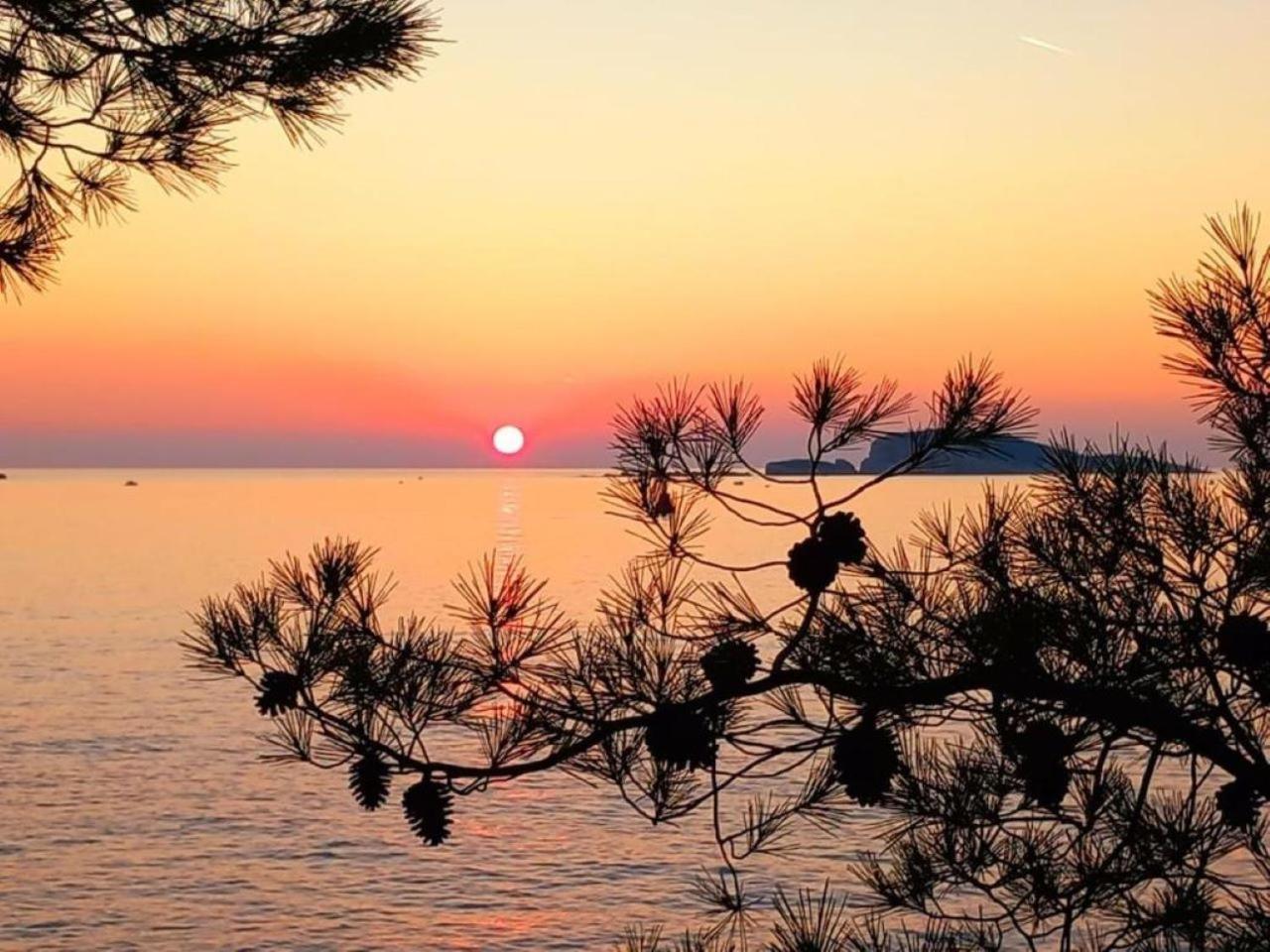 New Apartment Roko Zvekovica -Cavtat,Near Dubrovnik Airport المظهر الخارجي الصورة